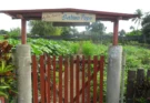 Patio El Madero, 28 años en la vanguardia agroproductiva de Florida