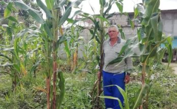 Leonardo Casas y su interés por sembrar su pedacito de tierras