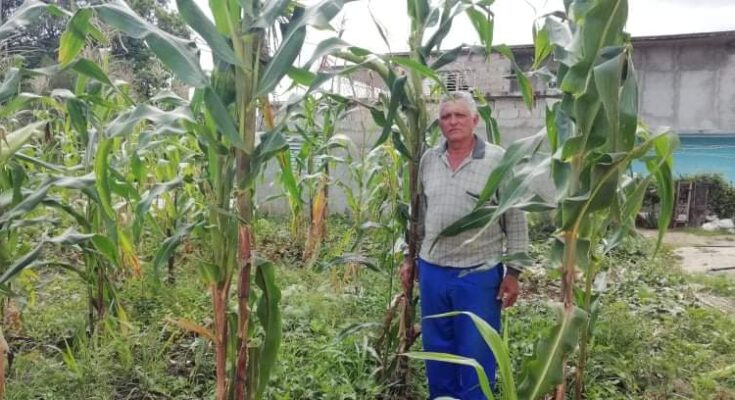 Leonardo Casas y su interés por sembrar su pedacito de tierras