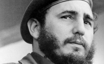 ¿Un monumento a Fidel?