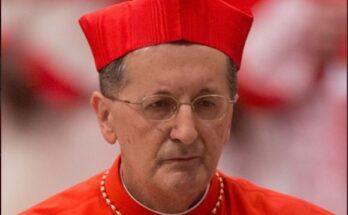 El Cardenal Beniamino Stella. Foto: Tomada de Getty Images