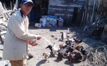 Confesiones de un agricultor: “Si me quitan la tierra me muero”