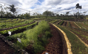 Florida también demanda impulsar la sostenibilidad de las comunidades agrícolas