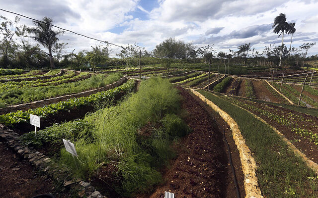 Florida también demanda impulsar la sostenibilidad de las comunidades agrícolas