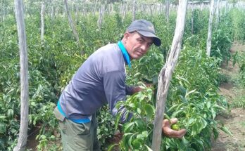 Danilo Marrero Mesa, un campesino floridano que apuesta por la agroecología