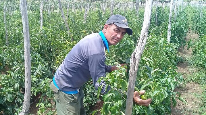 Danilo Marrero Mesa, un campesino floridano que apuesta por la agroecología