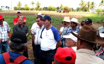 En Cabaiguán al centro de Cuba un canto a la producción