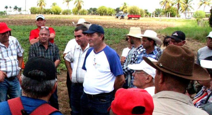 En Cabaiguán al centro de Cuba un canto a la producción