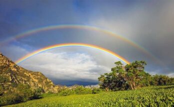 Realzan en el mundo la belleza del arcoíris