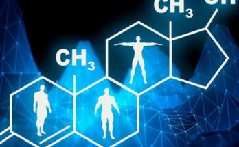 Desarrollan en Rusia refuerzo natural de la hormona testosterona