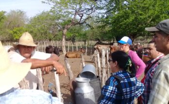 Dirigente partidista de Florida denunció violaciones en el acopio de leche