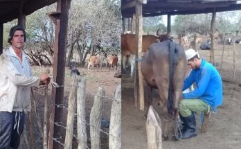 Edelio y Jorge Álvarez, campesinos comprometidos con la tierra y la Revolución