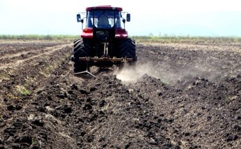Agrícolas de empresa Argentina obligados a avanzar en la preparación de tierras