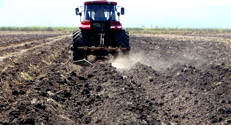 Agrícolas de empresa Argentina obligados a avanzar en la preparación de tierras
