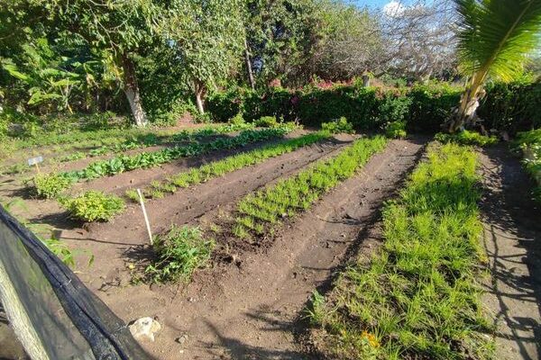 ector educacional de Florida busca garantizar soberanía alimentaria en instituciones educativas