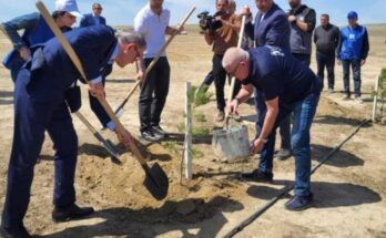 Cuba presente en conmemoración por centenario de Aliyev