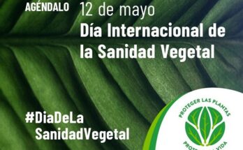 Sanidad Vegetal