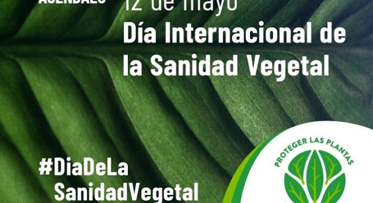 Sanidad Vegetal