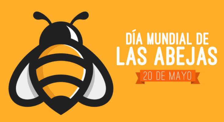 Apicultores floridanos celebran este 20 de mayo el Día Mundial de las Abejas