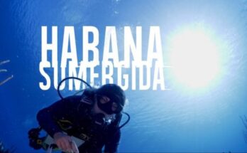 La historia de Amanda, la bióloga, y los paisajes de La Habana sumergida