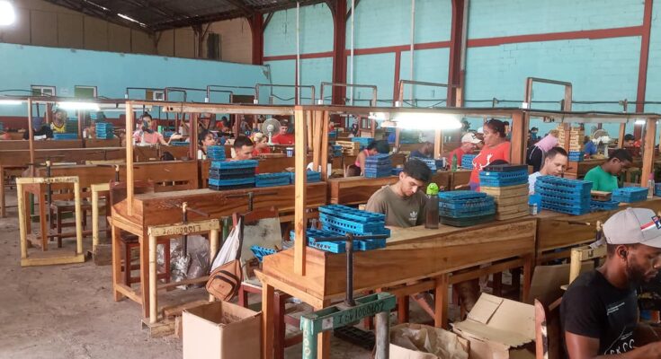 Tabaqueros de florida participaron en el Taller Municipal Con la pluma de Martí, que se desarrolló en la Fábrica de Tabacos Rolando Valdivia Fernández, en recordación al cubano más universal en el 128 aniversario de su caída en combate.