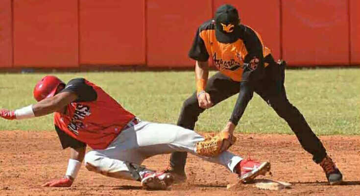 Avispas lideran en béisbol cubano