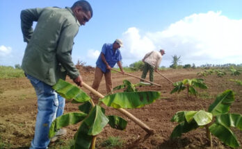 Jóvenes desmovilizados del Servicio Militar reciben tierras para producir alimentos