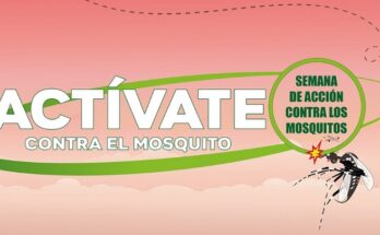 Adolescentes floridanos protagonistas en la Semana de Acción contra los Mosquitos