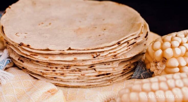México rechaza comer maíz transgénico y EEUU que lo usen en tortillas