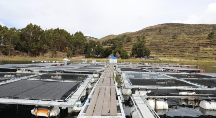 Ministro de Bolivia confirma avances de Planta Piscícola