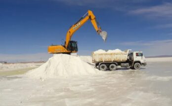 Bolivia producirá 100 mil toneladas de carbonato de litio