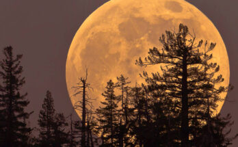 Día de súper luna en inicio de semana