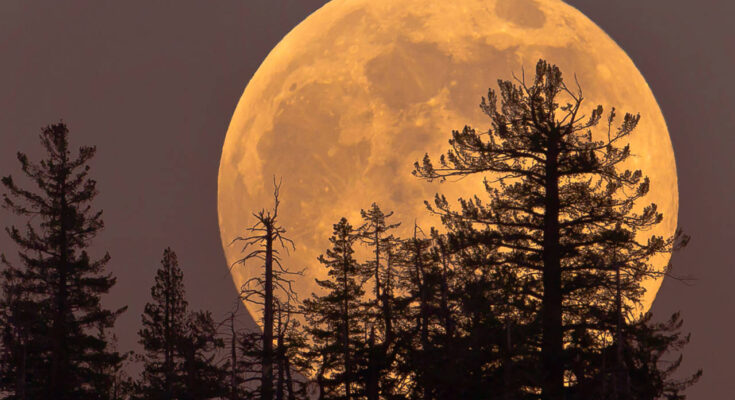 Día de súper luna en inicio de semana