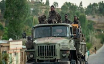 Desarme y reinserción de excombatientes, avanza la paz en Etiopía