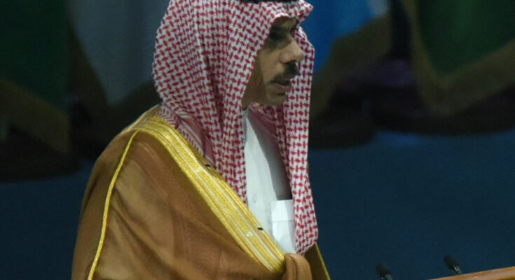 Arabia Saudita expresa compromiso con desarrollo sostenible