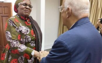 Recibe Ricardo Cabrisas a Viceprimera ministra y Ministra de Asuntos Exteriores y Cooperación de Namibia