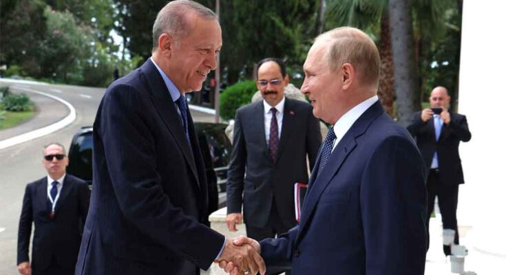 Rusia confirma encuentro entre Putin y Erdogan en Sochi