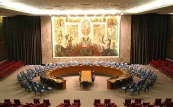 Consejo de Seguridad buscará resolución conjunta sobre Palestina