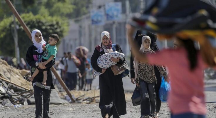 Unicef alerta sobre peligro para niñez en Gaza por colapso de salud