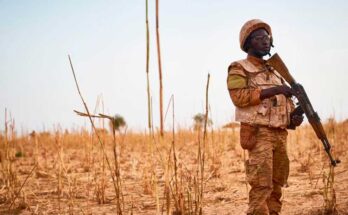 Año de cambios en el Sahel