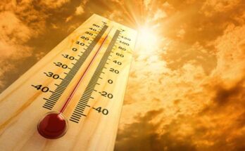 Investigadora chilena advierte sobre letalidad del calor intenso
