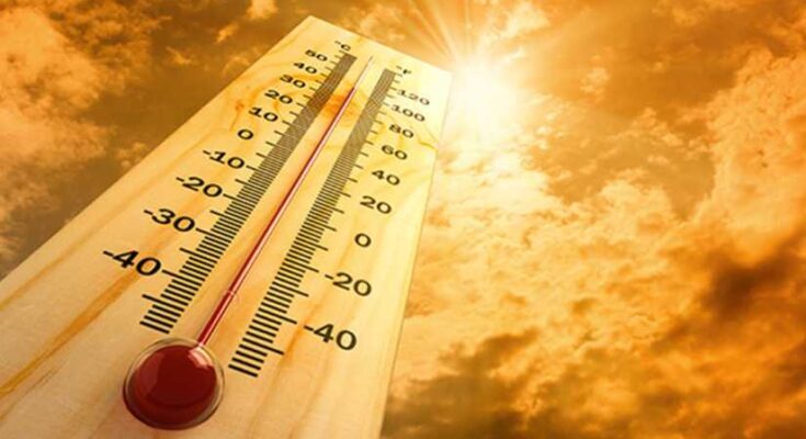 Investigadora chilena advierte sobre letalidad del calor intenso