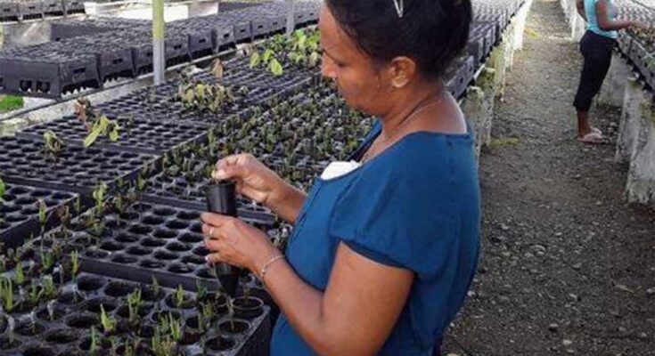 agroecológico, cuba, empoderamiento, femenino, PaísVasco, proyecto,