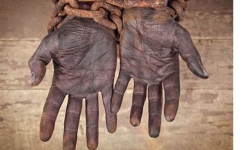 Más de tres mil personas rescatadas de la esclavitud en Brasil