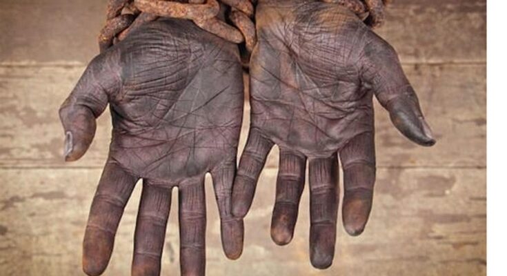 Más de tres mil personas rescatadas de la esclavitud en Brasil