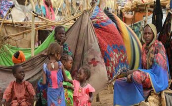 Darfur, desplazados, OIM, ONU, sudán, trabajadores humanitarios, Wad Madani,