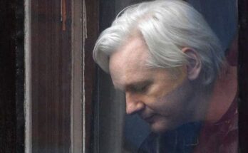 ¿Cómo la defensa de Julian Assange intentará evitar su extradición?