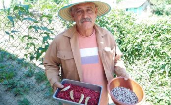 Roberto Cruz García; floridano que impulsa la Agricultura Urbana, Suburbana y Familiar