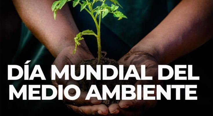 Desertificación en la mirada del Día Mundial del Medio Ambiente