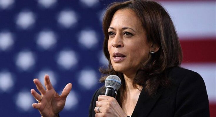 Votantes jóvenes en EEUU, una importante reserva para Kamala Harris